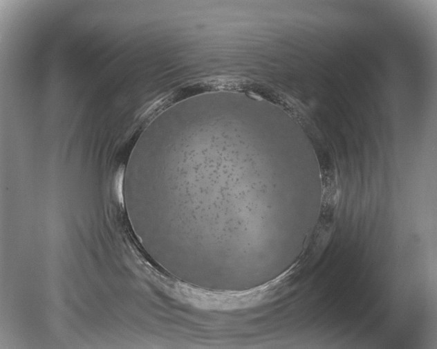 X0000078280047200611101145