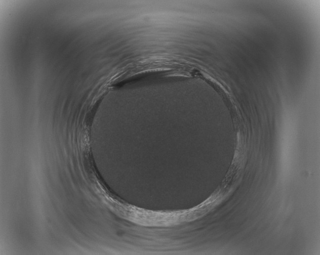 X0000078280048200611101145