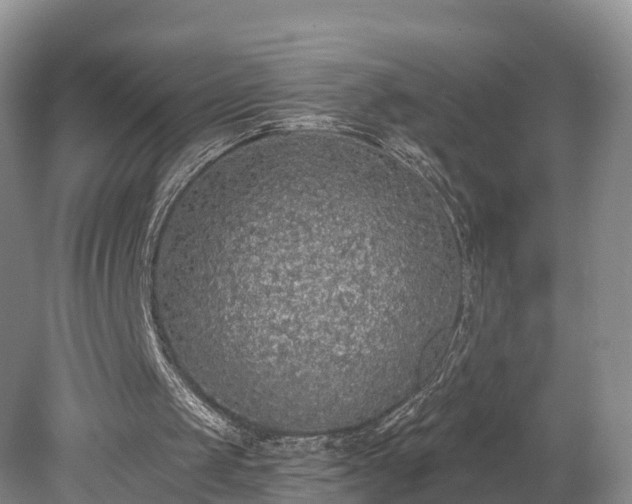 X0000078280049200611101144