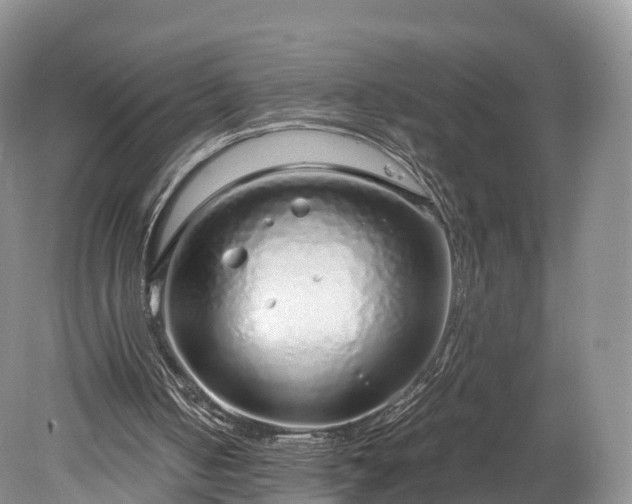 X0000078280050200611101144