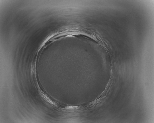 X0000078280052200611101144