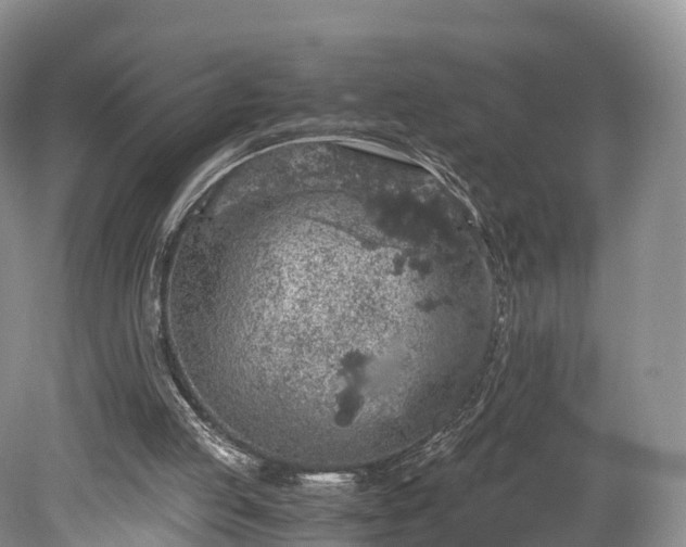 X0000078280053200611101144