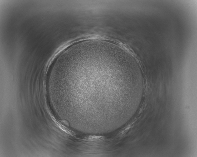 X0000078280055200611101144