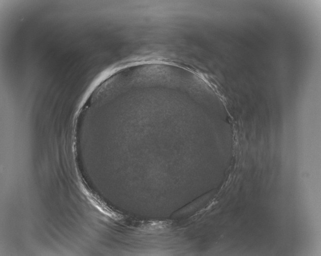 X0000078280056200611101144