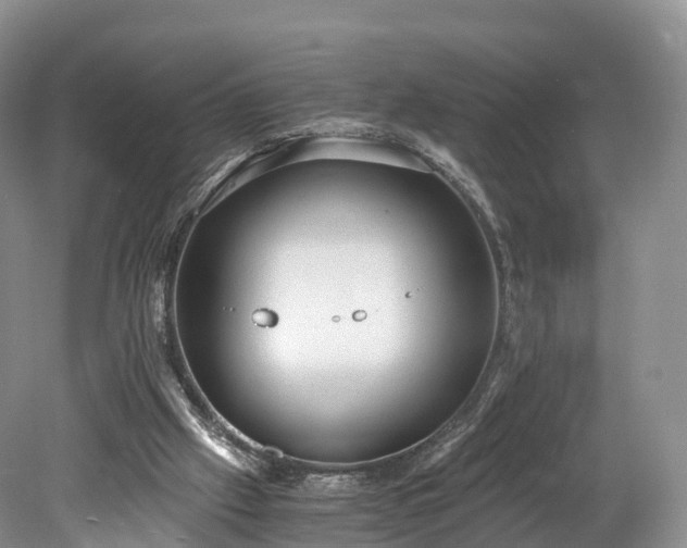 X0000078280057200611101144