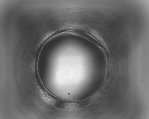 X0000078280058200611101144