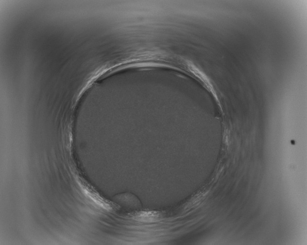 X0000078280059200611101144