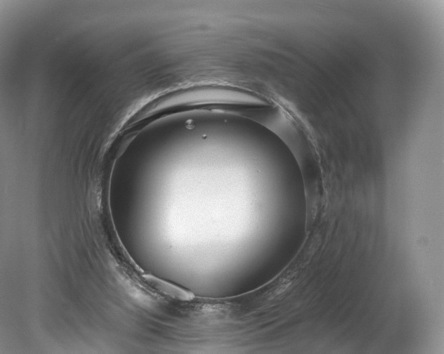 X0000078280060200611101144