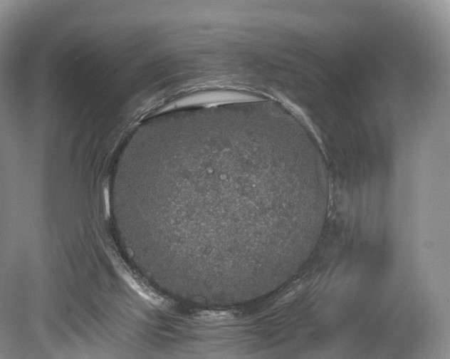 X0000078280061200611101144