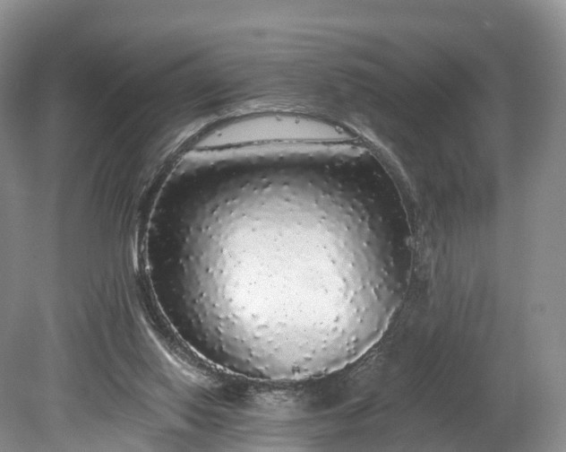 X0000078280062200611101144