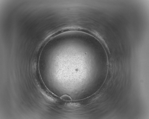 X0000078280063200611101144