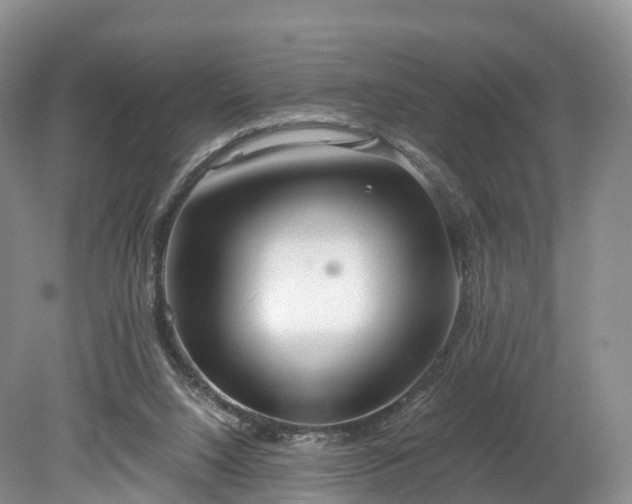 X0000078280064200611101144