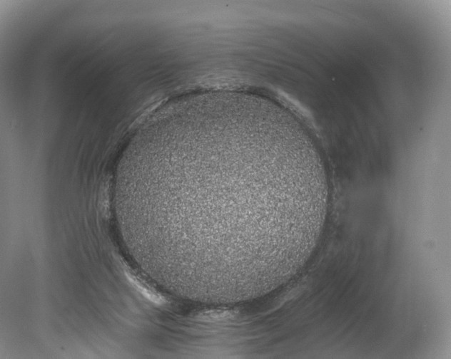 X0000078280065200611101144