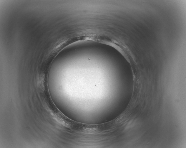 X0000078280066200611101144