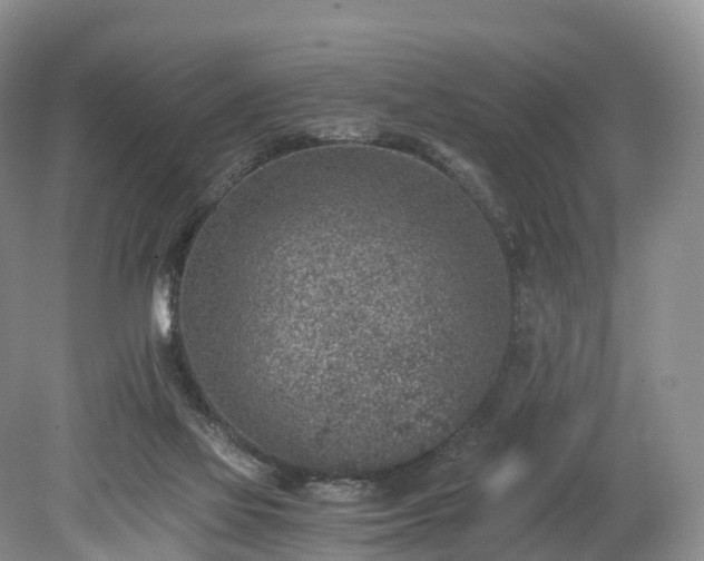 X0000078280069200611101144