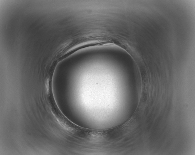 X0000078280070200611101144