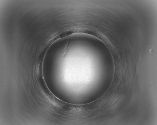 X0000078280071200611101144