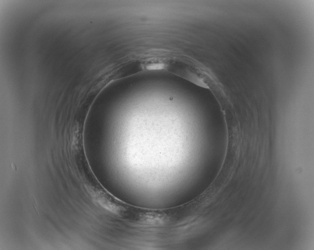 X0000078280073200611101144