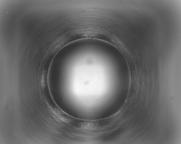 X0000078280074200611101144