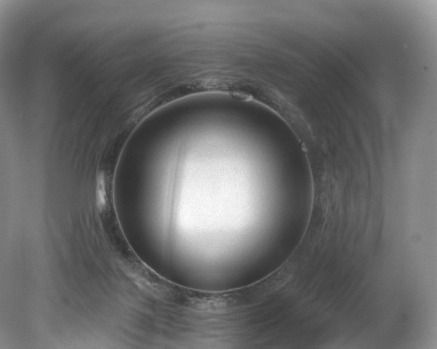 X0000078280075200611101144