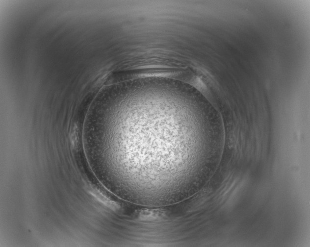 X0000078280077200611101144