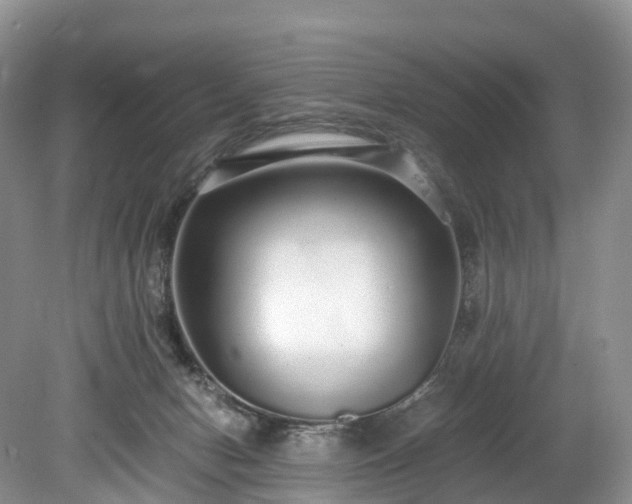 X0000078280078200611101144