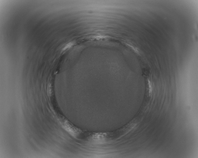 X0000078280080200611101144