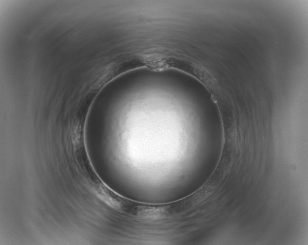 X0000078280081200611101144