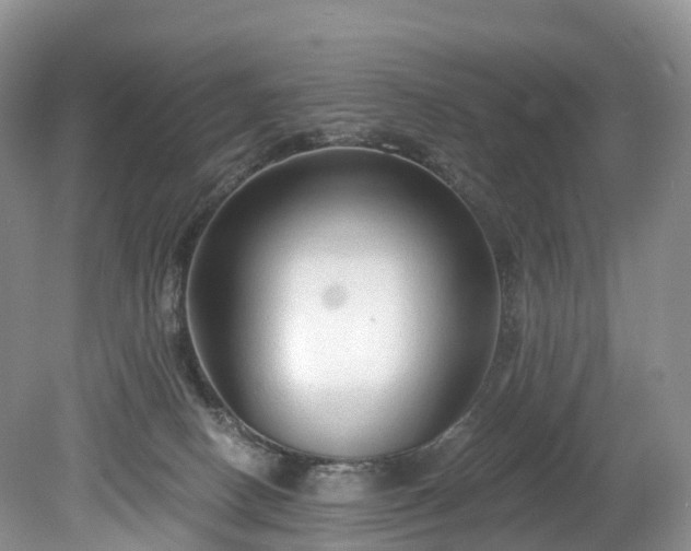 X0000078280082200611101144