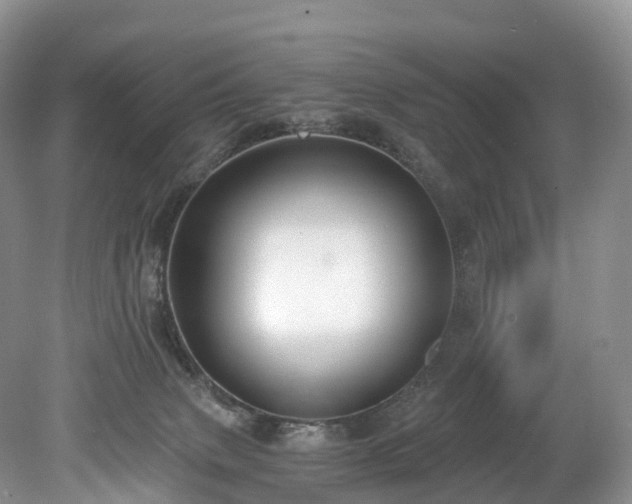 X0000078280083200611101144