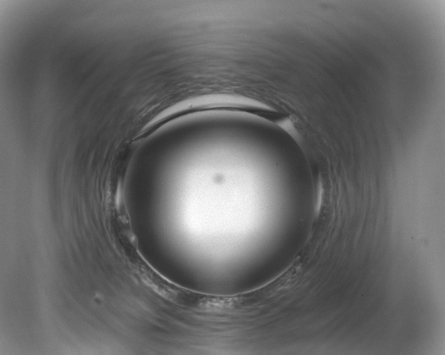 X0000078280084200611101144