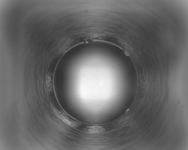 X0000078280087200611101144