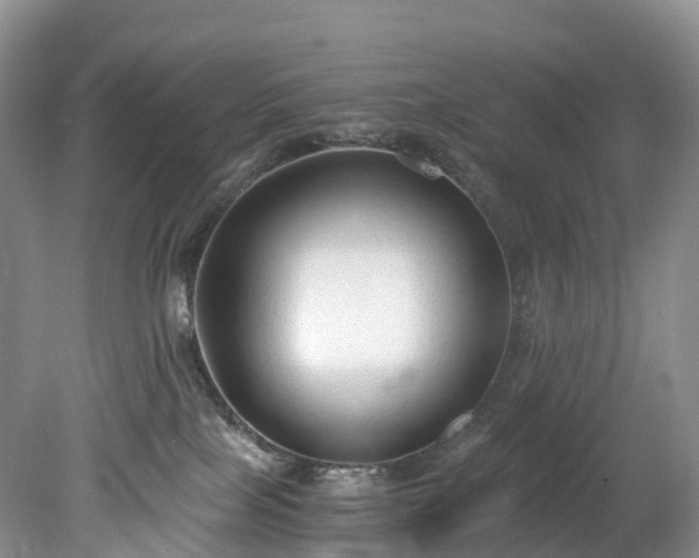 X0000078280089200611101145