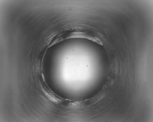 X0000078280092200611101145