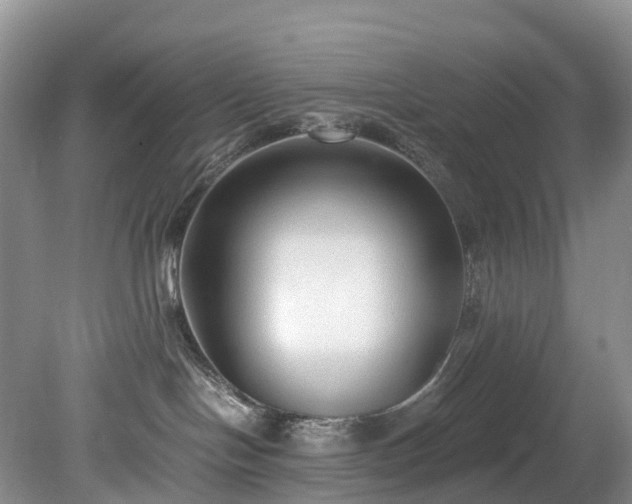 X0000078280094200611101145