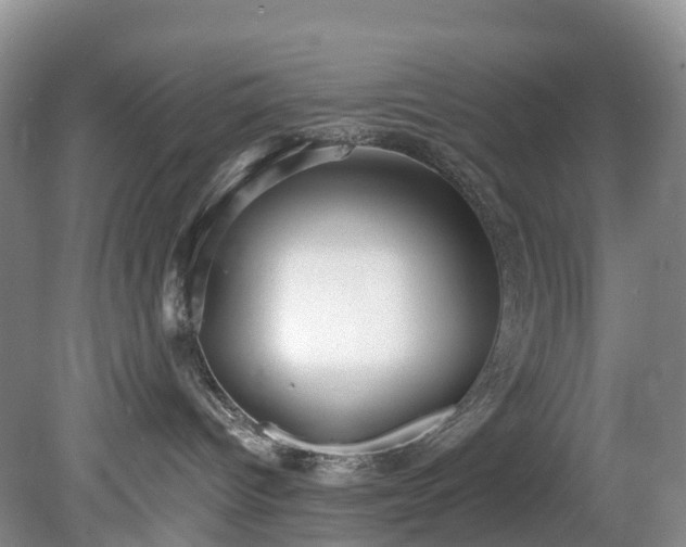 X0000078280096200611101145