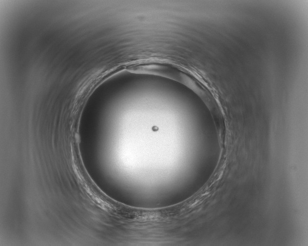 X0000078280097200611101144