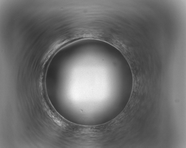 X0000078280098200611101144