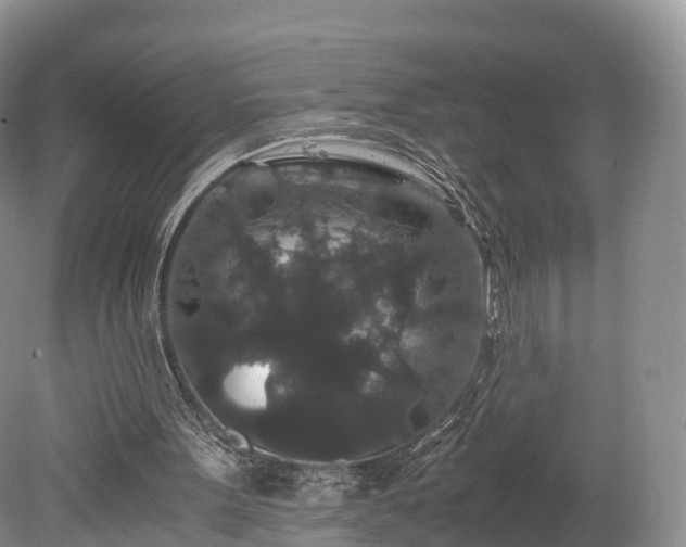 X0000078280099200611101144