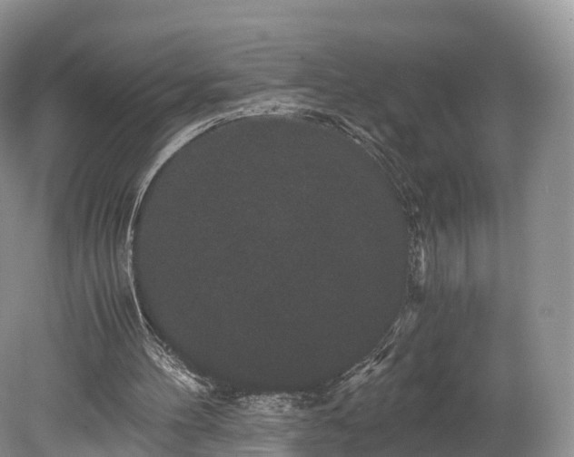 X0000078280100200611101144