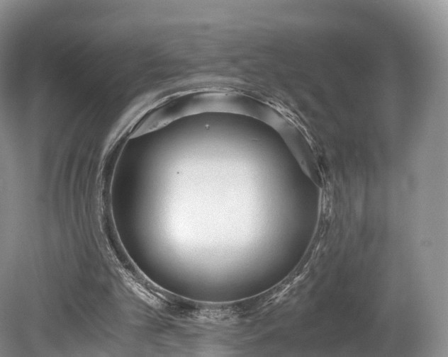 X0000078280101200611101144