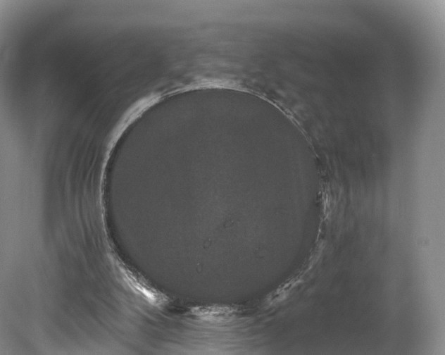 X0000078280104200611101144