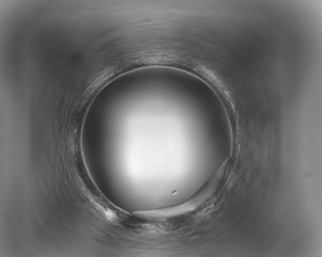 X0000078280105200611101144