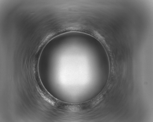 X0000078280106200611101144