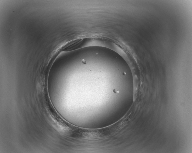 X0000078280107200611101144