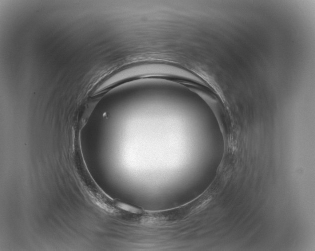 X0000078280109200611101144