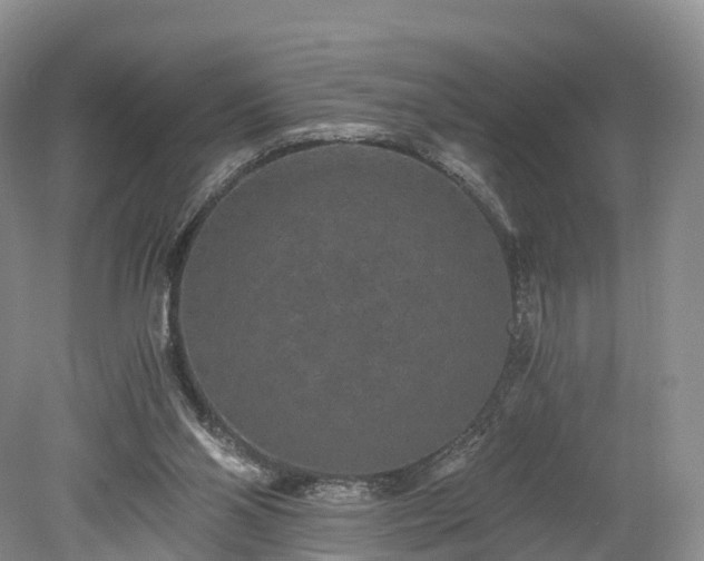 X0000078280110200611101144