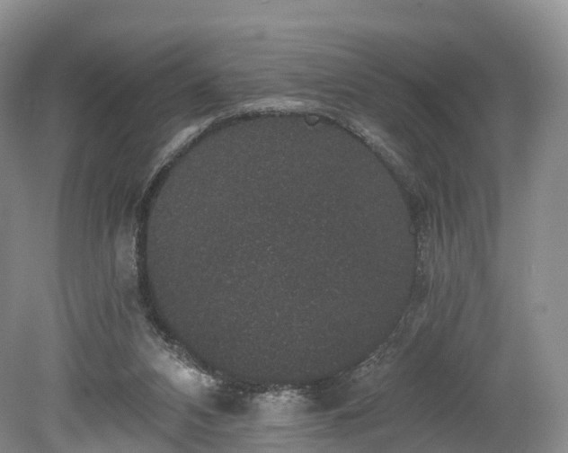 X0000078280112200611101144