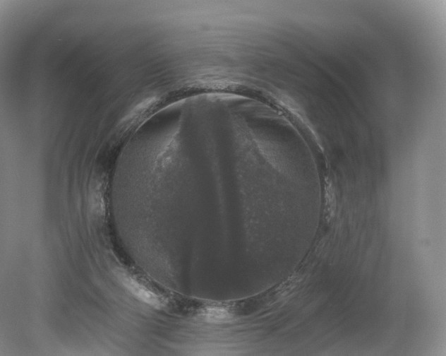 X0000078280114200611101144