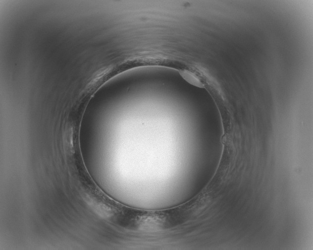 X0000078280115200611101144